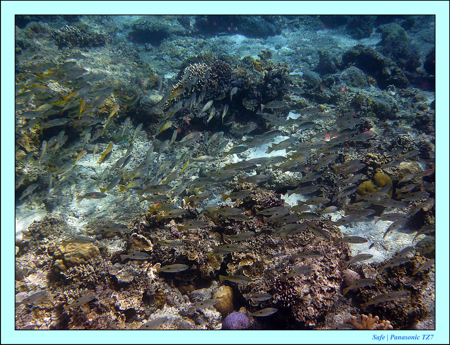 2012 - 07 - Gili - 92